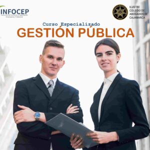 GESTIÓN PÚBLICA